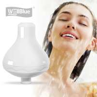 spa shower water filter with shower head